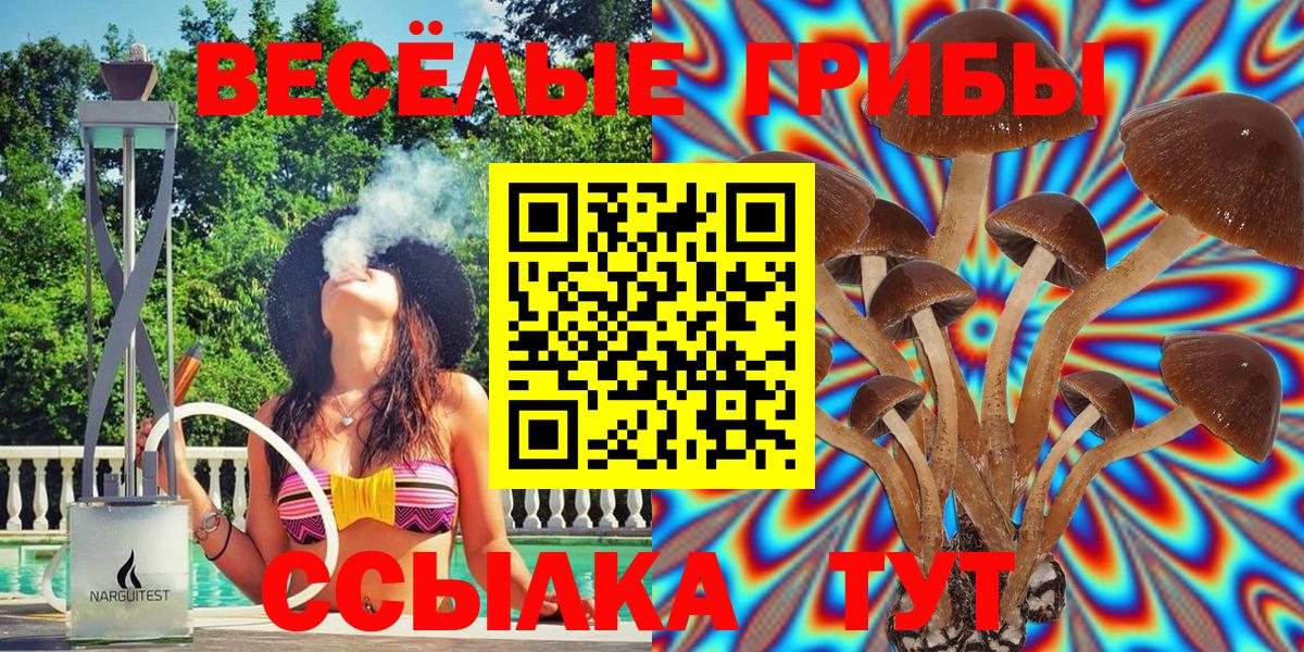 Псилоцибиновые грибы Psilocybine cubensis  Псилоцибиновые грибы Psilocybe  Вход с VPN  Пугачёв 
